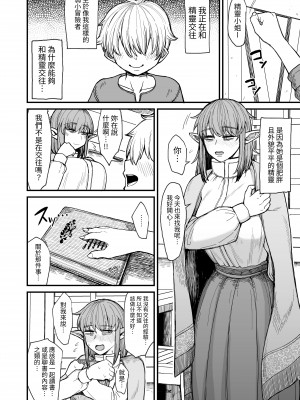 [キレイナブタ (ぶたちゃんぐ)] 異世界の女たち6.0｜異世界的女人們6.0   [中文] [RX]_005