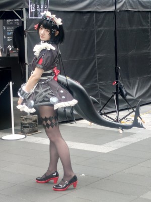 Lapin Angelia - Ellen Joe_048