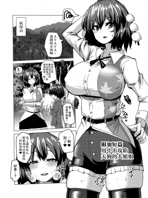 [ちんちん亭 (chin)] 生ハメおみくじ (東方Project) [中国翻訳] [DL版]_14