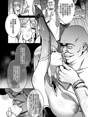 [H.B.A (うさぎなごむ)] 黄昏の娼エルフ 1-6(1-4無修正) [中国翻訳]_011
