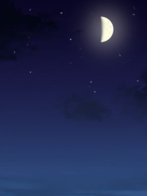 (同人CG集) [黒瀬ちあき] パパの居ぬ間にママを口説いて家庭内恋愛するスケベ息子_276_2491