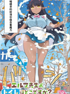 エルフ先生のトイレはどこですか？ [中国翻訳]_105