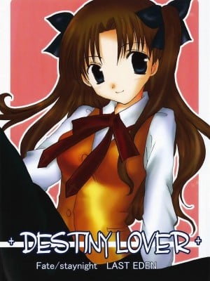 [LAST EDEN (天音真理)] DESTINY LOVER (Fate／stay night) [中国翻訳]