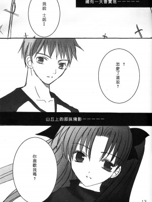 [LAST EDEN (天音真理)] DESTINY LOVER (Fate／stay night) [中国翻訳]_11