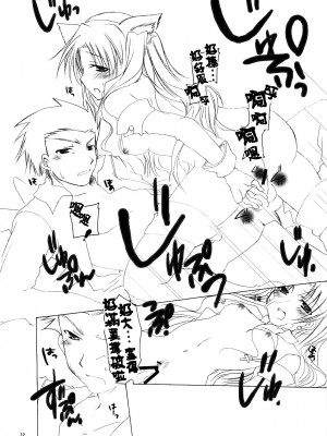 (C70) [チキチキ☆マシーン (田那辺学)] まほしき (Fate／stay night) [中国翻訳]_11