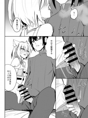 [Sol seeker (蒼炎)] 最後の告白 (ゼノブレイド3) [DL版]_17