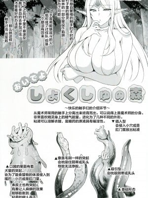 (C104) [にのこや (にの子)] にのこやC104おまけ本 [战樱翻译]_03