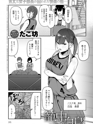 COMIC アンスリウム 2024年9月号 [DL版]_316
