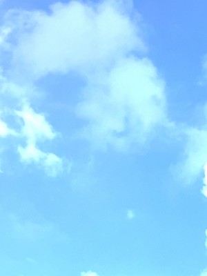 [パンシー同人制作所] 私が先輩の彼女になった理由 起_532