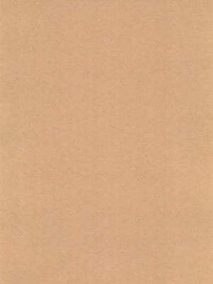 (C104) [平成茶々丸堂 (N.O-茶々丸)] 母愛が過ぎる息子の為に_04