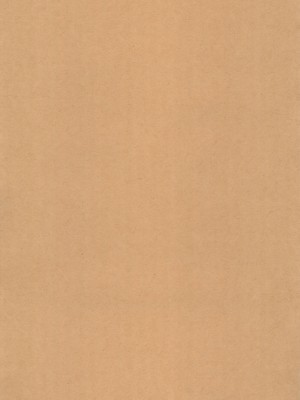 (C104) [平成茶々丸堂 (N.O-茶々丸)] 母愛が過ぎる息子の為に_03