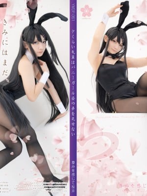 Lapin Angelia - 樱岛麻衣_s_bunny000