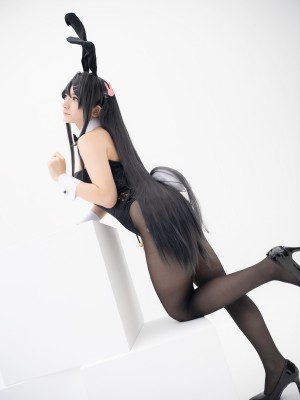 Lapin Angelia - 樱岛麻衣_s_bunny013