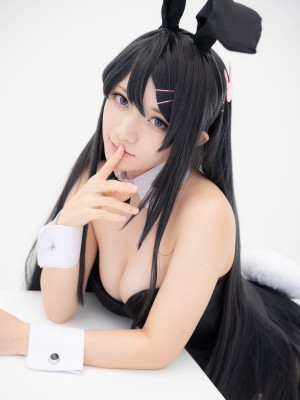 Lapin Angelia - 樱岛麻衣_s_bunny016