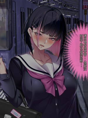 [アイチルワークス] 満員電車の中でおじさんが無理やり美少女を寝取ったりギャルを孕ませたりする話【今天開始戒擼個人機翻】_013