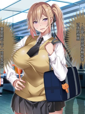 [アイチルワークス] 満員電車の中でおじさんが無理やり美少女を寝取ったりギャルを孕ませたりする話【今天開始戒擼個人機翻】_329