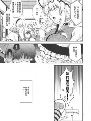 (例大祭8) [HMA (日吉ハナ)] チートとよばないで! (東方Project)｜別說姐姐是作弊角色啊!  [さとこい個人漢化]_06