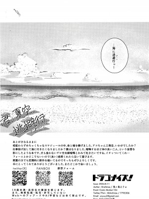 (C104) [Dra5nize (鬼ヶ島えりゅ)] 君と夏空、逃避行 (ブルーアーカイブ)_17