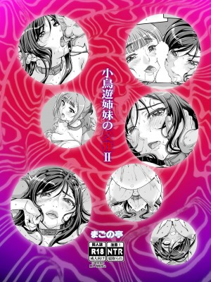[まごの亭 (夏庵)] 小鳥遊姉妹の受難 II - saimin sisters [DL版]_46
