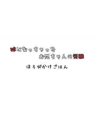 [ほろびかけごはん (らない)] 妹になっちゃったお兄ちゃんの災難 [Cauli个人汉化] [DL版]_30