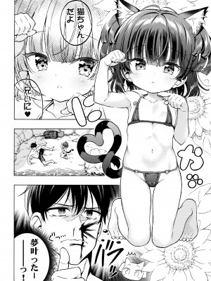 [モエモエカフェ (高橋哲哉)] あそぼ、兄ぃに3 ～兄ぃにと真夏のビーチせっくす～_26