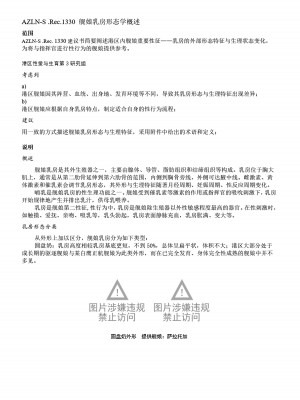 [acroyali] 碧蓝航线系列 匹兹堡 (Azur Lane) [中国翻譯]_13