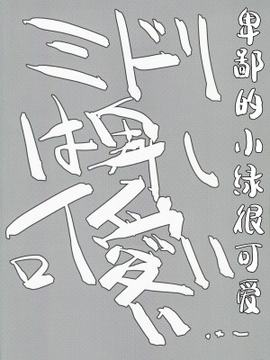 (C104) [662KB (拾次)] ミドリ(卑しい) ｜ 小绿(卑女) (ブルーアーカイブ) [中国翻訳]_03