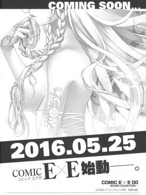 COMIC ExE (コミック エグゼ) 00 Rough Collection_033