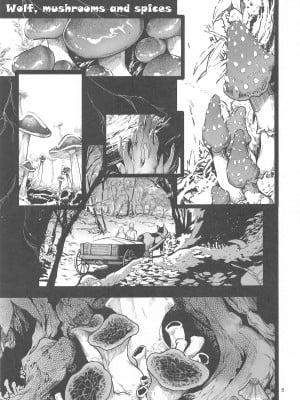 (C104) [黒猫館モンプチ (ヤミザワ)] 狼とキノコと香辛料 (狼と香辛料)_04