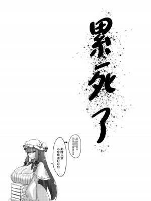 [月光包丁 (渡辺SINKAI)] 紅魔館式新人教育 (東方Project) [中国翻訳] [DL版]_33