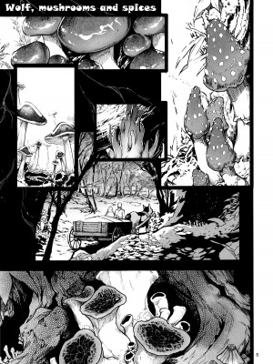(C104) [黒猫館モンプチ (ヤミザワ)] 狼とキノコと香辛料 (狼と香辛料) [羽喵个人翻译]_04
