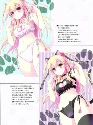 [沒有漢化] (COMIC1☆10) [C・A・T (森崎くるみ)] 二人のHI・MI・TU (英雄伝説 閃の軌跡)_03