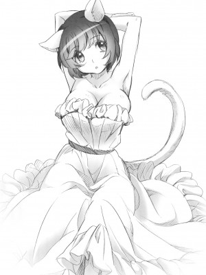 [倒在麦田吧汉化] (こみトレ22) [そらみみ (Mytyl)] ネコ道楽 (化物語)_18