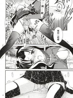 [wl00314824個人漢化] (C65) [いいわけ会社 (樹宮匡平)] Magician's Red (Fate／stay night)_09