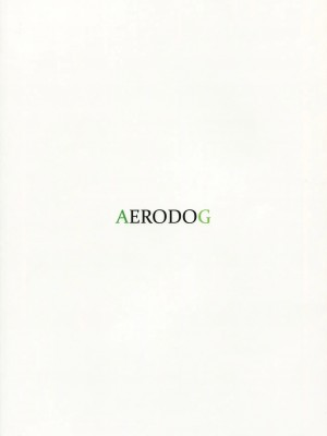 [倒在麦田吧汉化] (C81) [AERODOG (inu)] Lascivious dreams (アイドルマスター)_26