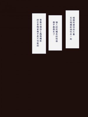 [Neko-rise] 女冒険者敗北 ～石化破壊オナホ化～ [中国翻訳]_53