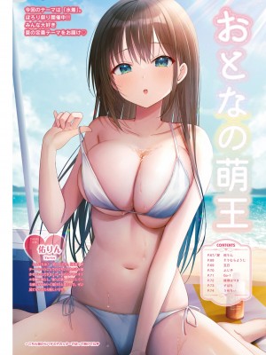 【電子版】電撃萌王 2024年8月号_075