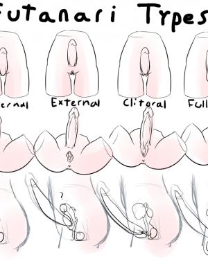 Futanari Anatomy_07_Zezka_195433_Futa_types