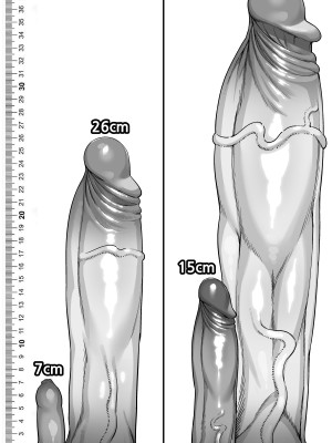 Futanari Anatomy_16_12