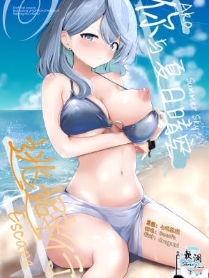 (C104) [Dra5nize (鬼ヶ島えりゅ)] 君と夏空、逃避行 (ブルーアーカイブ)｜你与夏日晴空、逃避行 [欶澜汉化组]