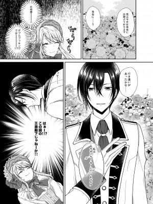 [ハニーバニー (こはち)] 美少年に転生したのでうっかり女装したら、王弟殿下に嫁がされた件  [DL版]_12