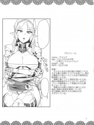 (C88) [折口ヒラタ (Surface Tension)] エルフの騎士 アメリア_03