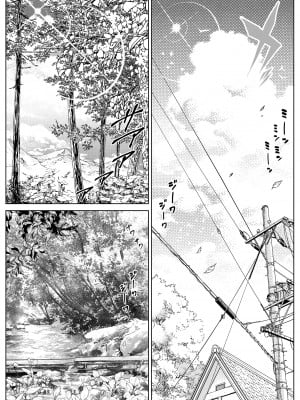 [水蓮の宿 (浅川)] 夏のヤリなおし5 -夏と田舎と幼馴染の母- 黒線版を追加しました [Don't Trust and Support Irodori Comics !]_011