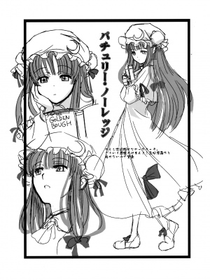 (C81) [TEX-MEX (れっどべあ)] 東方艶邏抄 紫 (東方Project) [文不苦]_32