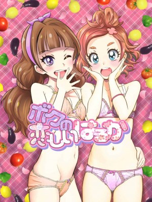 (C90) [グランプ (人工知能)] ボクの恋しいはるか (Go! プリンセスプリキュア) [ancient个人机翻汉化]_02