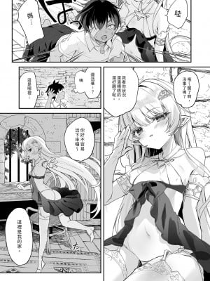 [毛玉牛乳 (玉之けだま)] 血姫夜交-真祖の姫は発情しているっ！- ｜血姬夜交 真祖之姬正值發情期！ [中国翻訳] [無修正] [DL版]_09