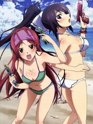 [剥ぎコラ] IS 〈インフィニット・ストラトス〉-1280x_18_29_1