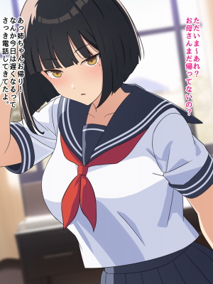 (同人CG集) [ぴゅあ☆ほたる] 何でも言う事を聞いてくれる姉_021