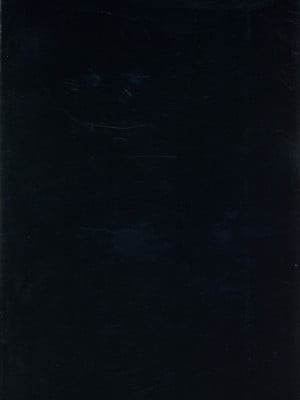 [吟醸マゴッツ (くろたま)] この魔法使い絶対に雌豚オナホ嫁にする (葬送のフリーレン)_02