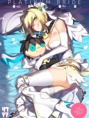 [ダイコテツ団 (92M)] PLATINUM BRIDE 白金の花嫁 (Fate／Grand Order) [DL版]